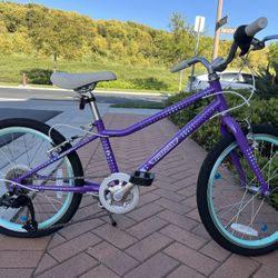 Guardian Kids Bike - 20” Wheels - Voted Safest Bike