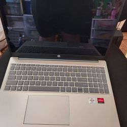 Hp Amd Silver Touchscreen Laptop Windows 11