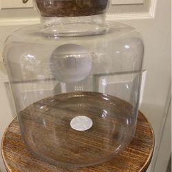 Large Glass Jar Terrarium | 10” | Cork Plug