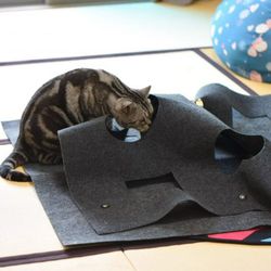 Pet Cat Toy Blanket Play Mat Hide Seek Carpet Scratch - resistant Cat Hiding House with Holes ; Pet Cat Toy Blanket Play Mat Carpet Scratch - resistan
