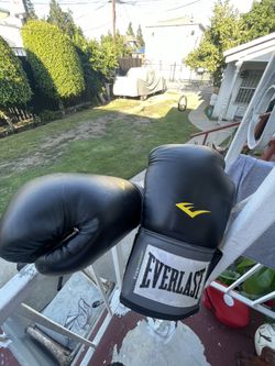 Everlast Boxing Gloves