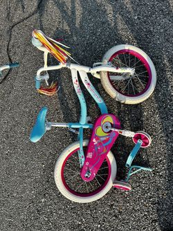 Training wheels bike