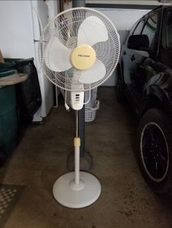Oscillating Fan