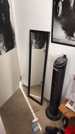 Door/Wall Mirror