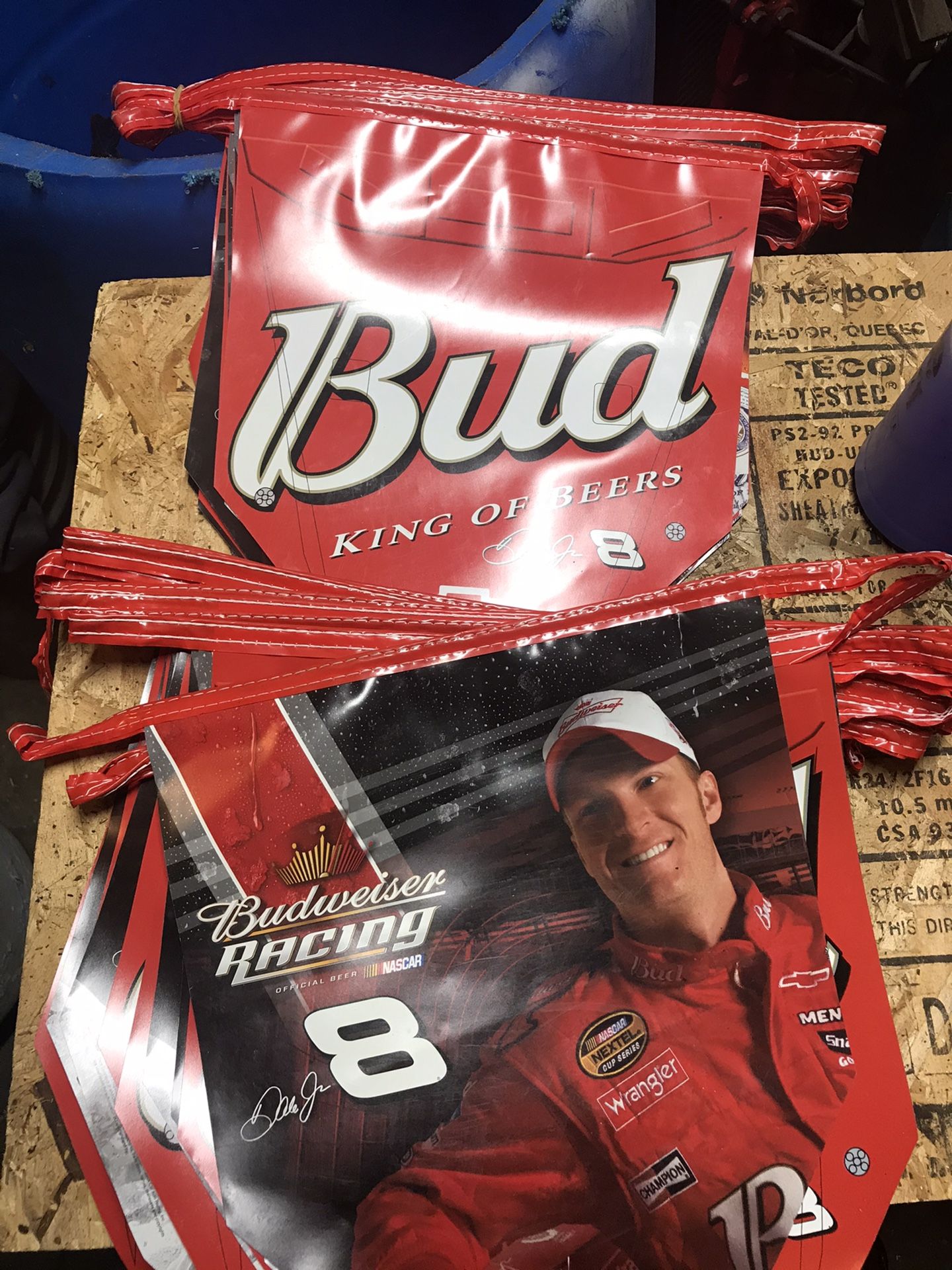 Dale Earnhardt Jr Banners