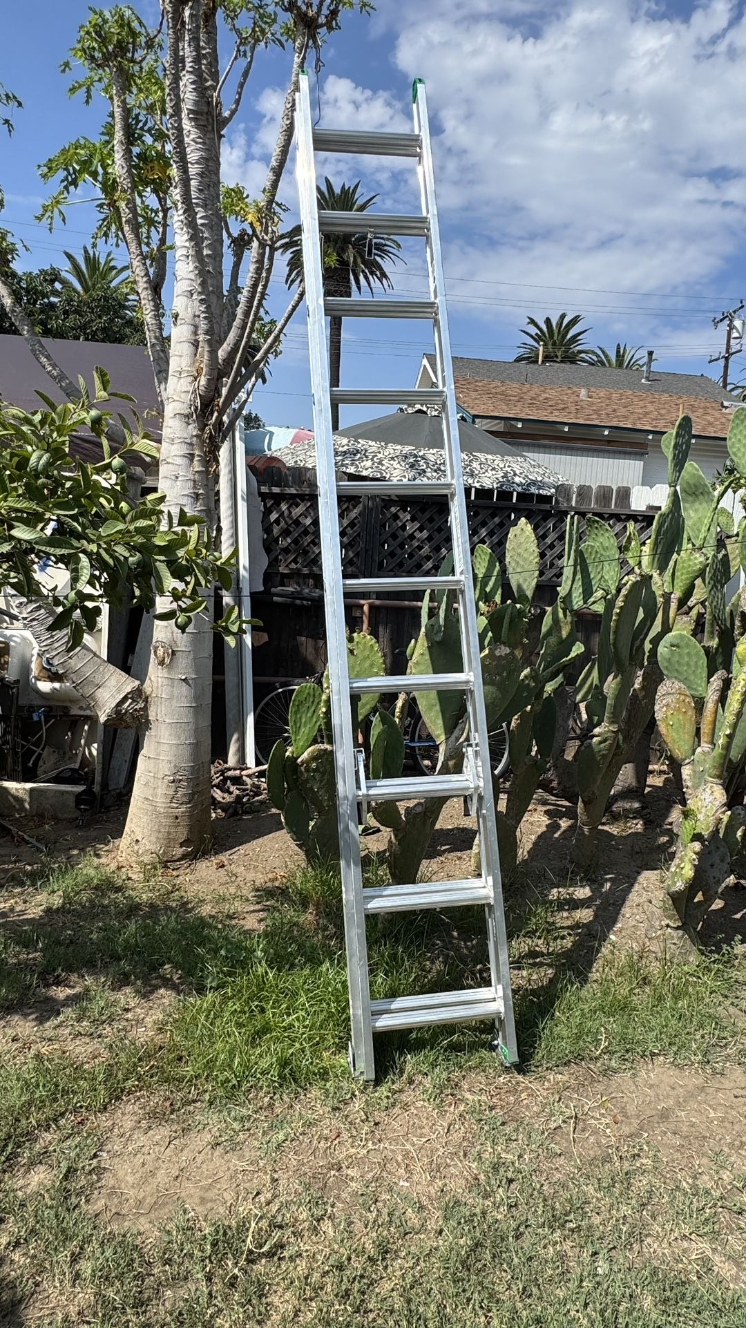 Ladder 20 feet aluminum extension
