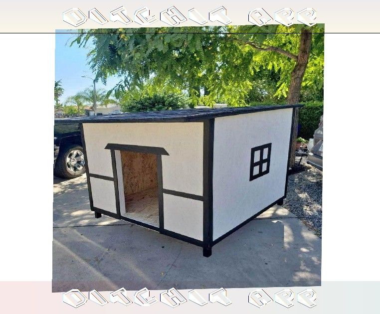 Special Dog Houses - Made for Your Pet's Specific Needs simple such