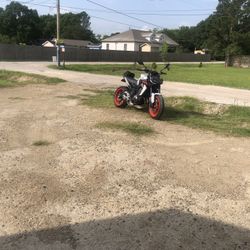 2019 Yamaha HotBoy Eyes of Darkness Edition