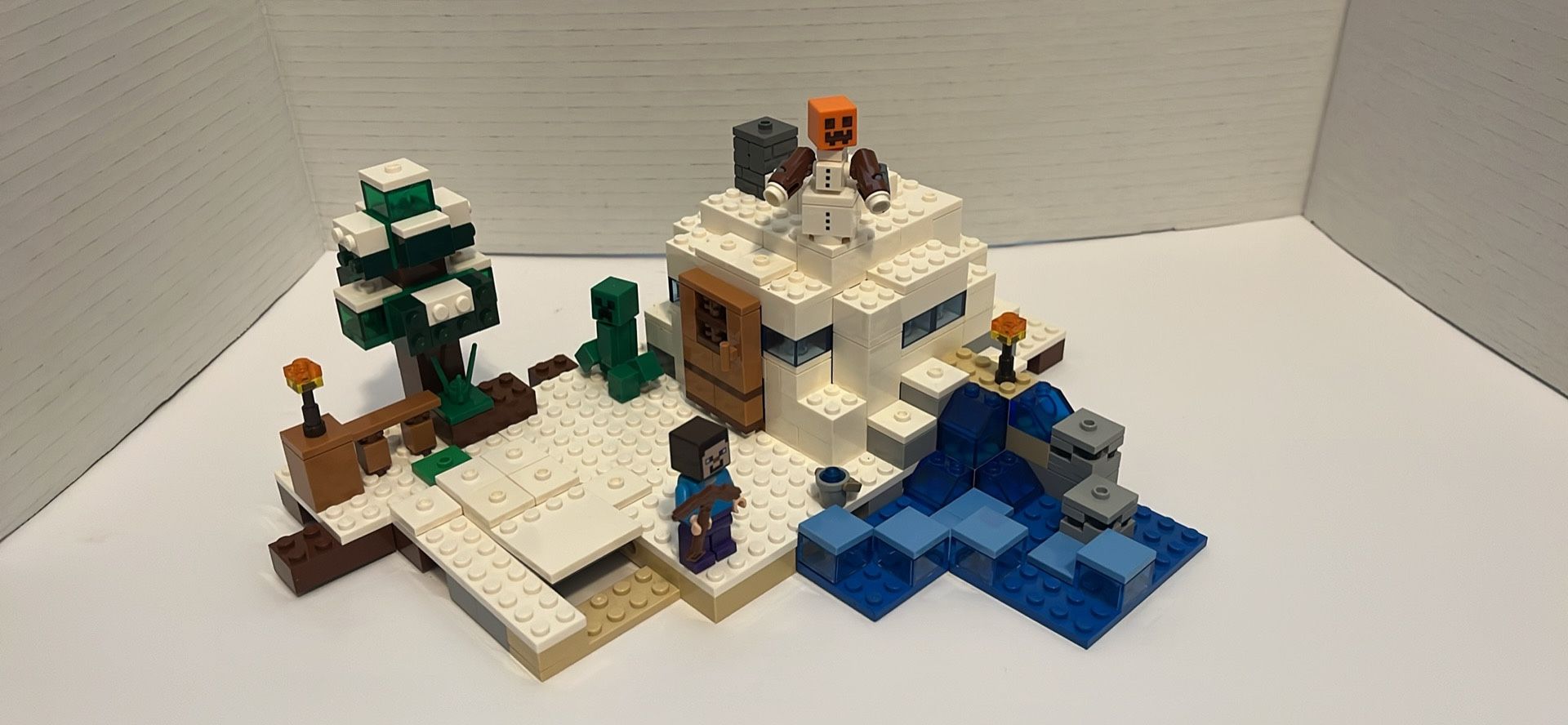 Minecraft Lego 21120