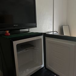 Mini Freezer 