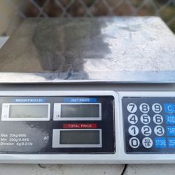 Professional scale