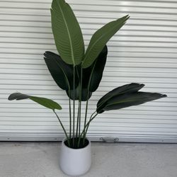 Artificial Plant - Model Home Decor 