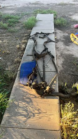 Vintage Mule Horse Harness With Brass And Bronze Metals