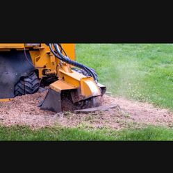Stump Grinding 