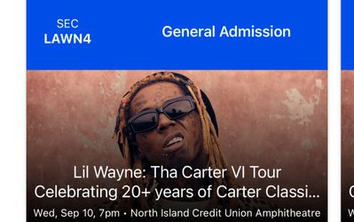 Lil Wayne concert 