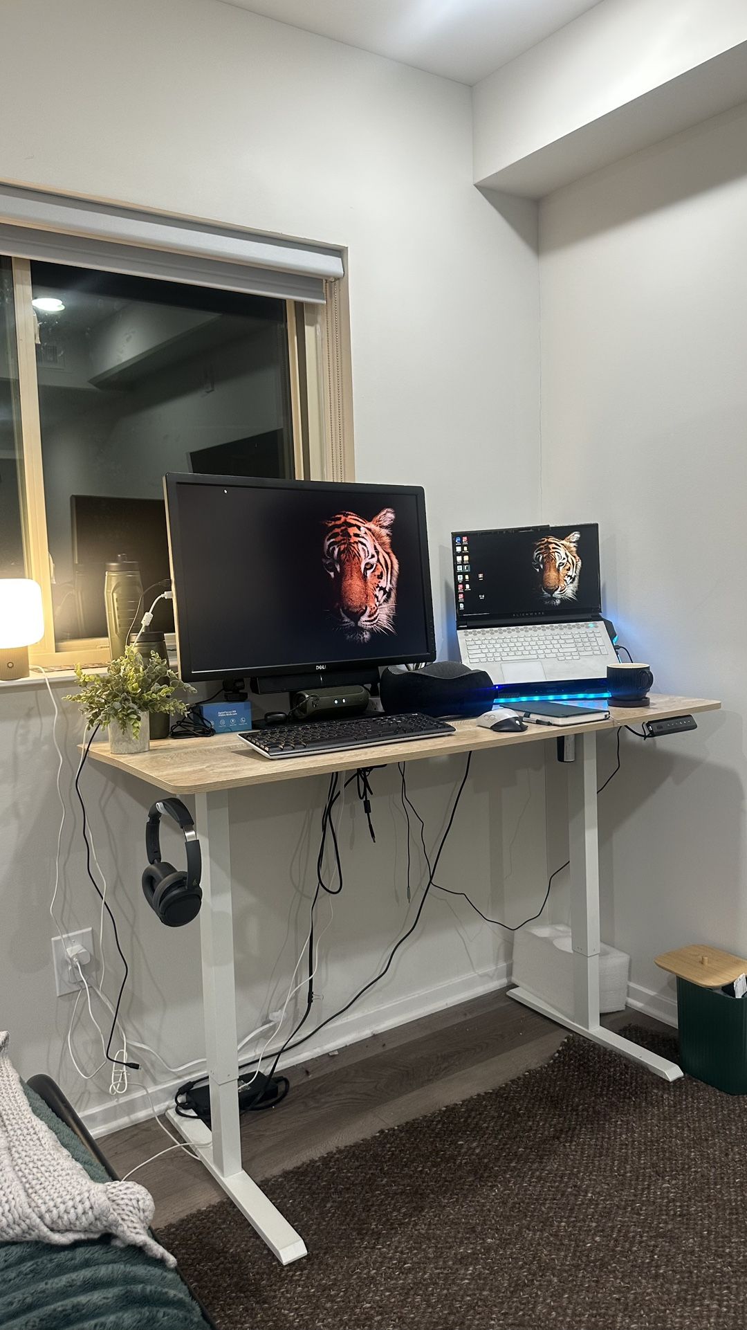 Standing Desk Automatic 