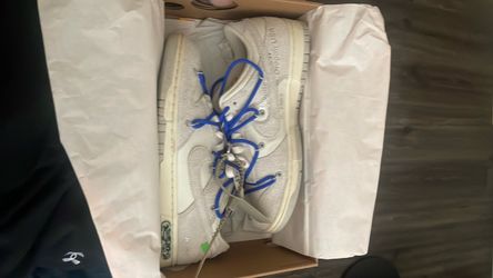 Nike off-white dunks lot 32