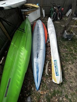 Kayak