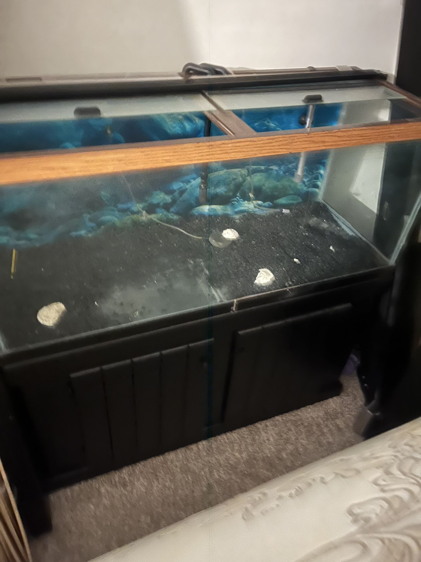 70 Gallon fish Tank with stand 300 Or Best Offer