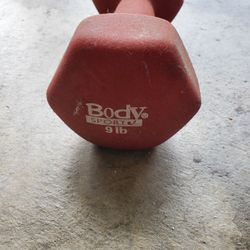 9 Lb. Dumbell Weight