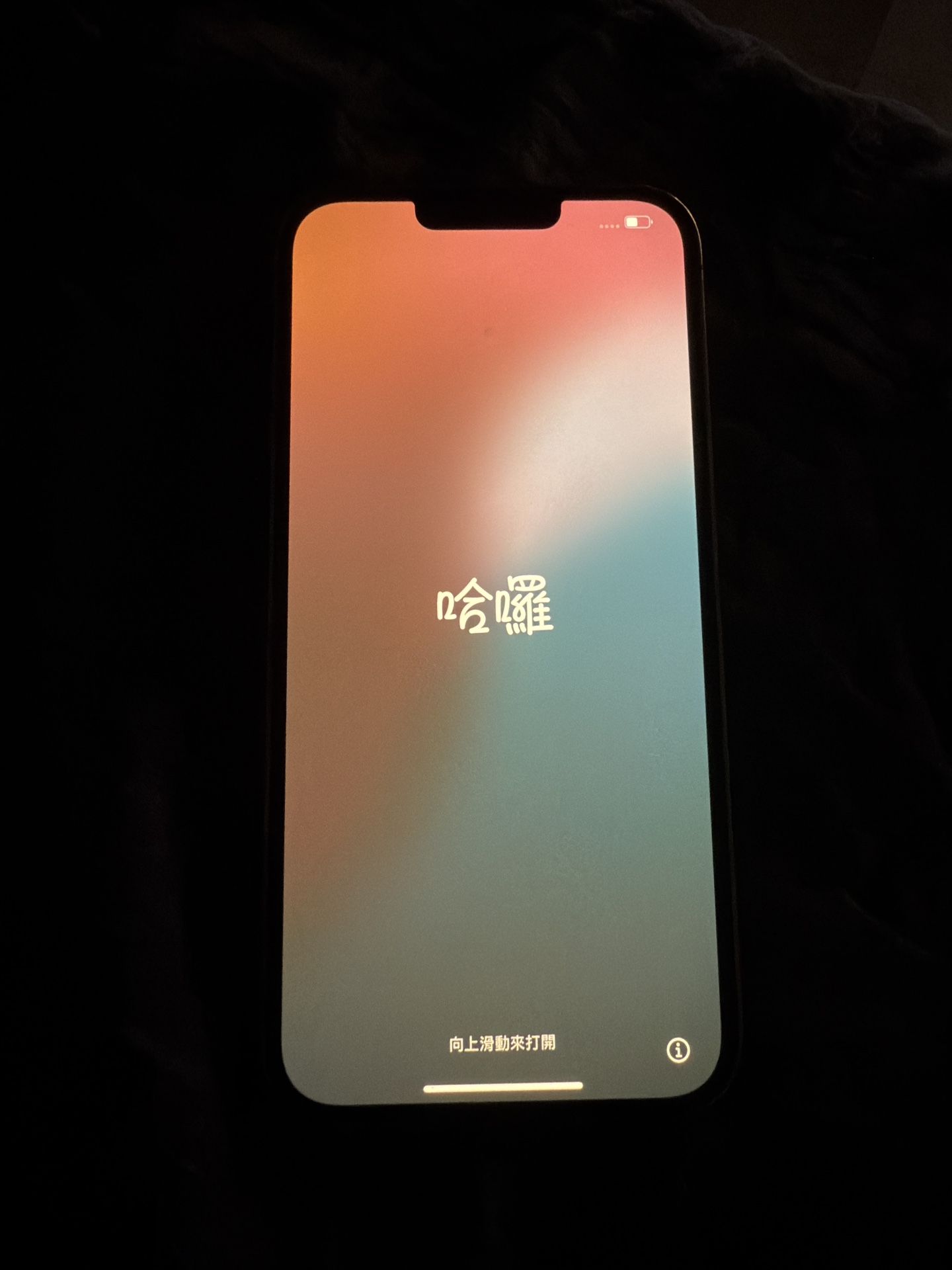 iPhone 13 Pro Max