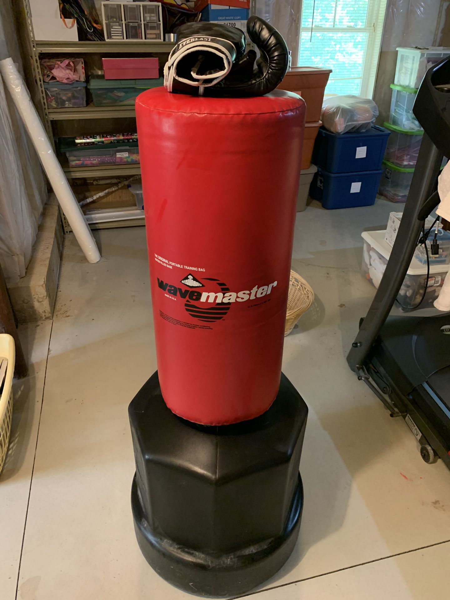 Century Punching Bag with gloves
