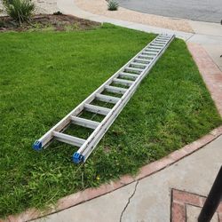 Werner 40' Ladder
