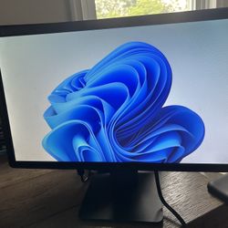 Dell e2214hb 22” monitor.