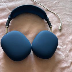 Apple AirPod Pro Max (ALL BLACK)