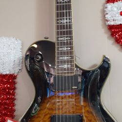 Schecter Guitar