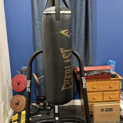 Everlast Punching Bag And Stand