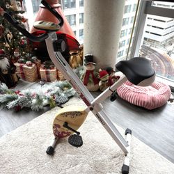 Exercise Bike (Spazio)