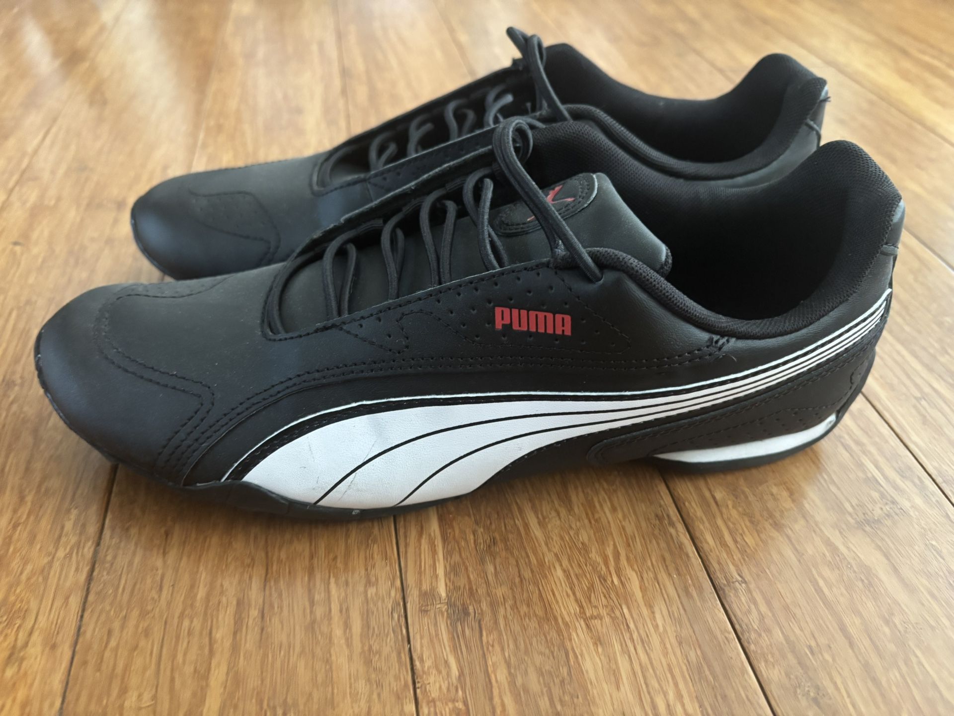 Puma Racing Shows