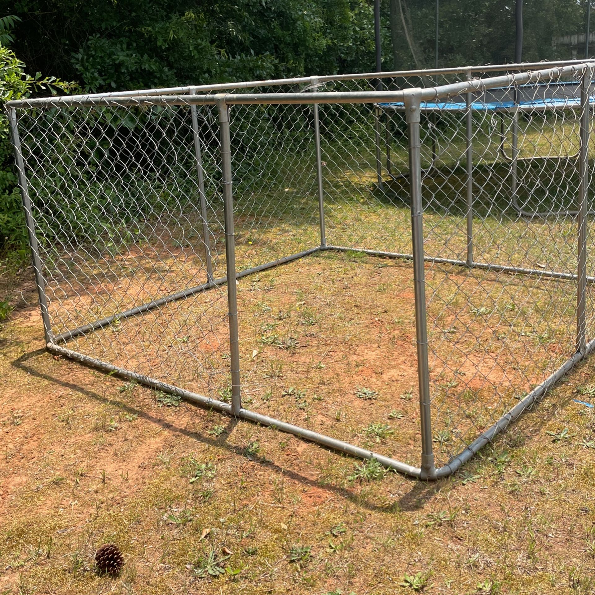 Dog Fence