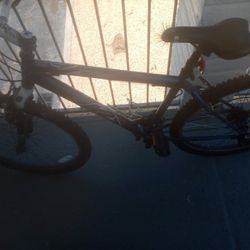 Large Mountain Bike