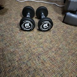 Ritfit Dumbbell Pair 10pd