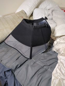 Dog collar keep from scratching her ears