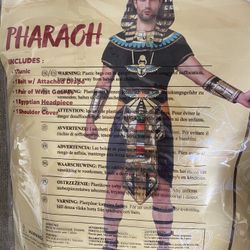 Halloween Costumes
