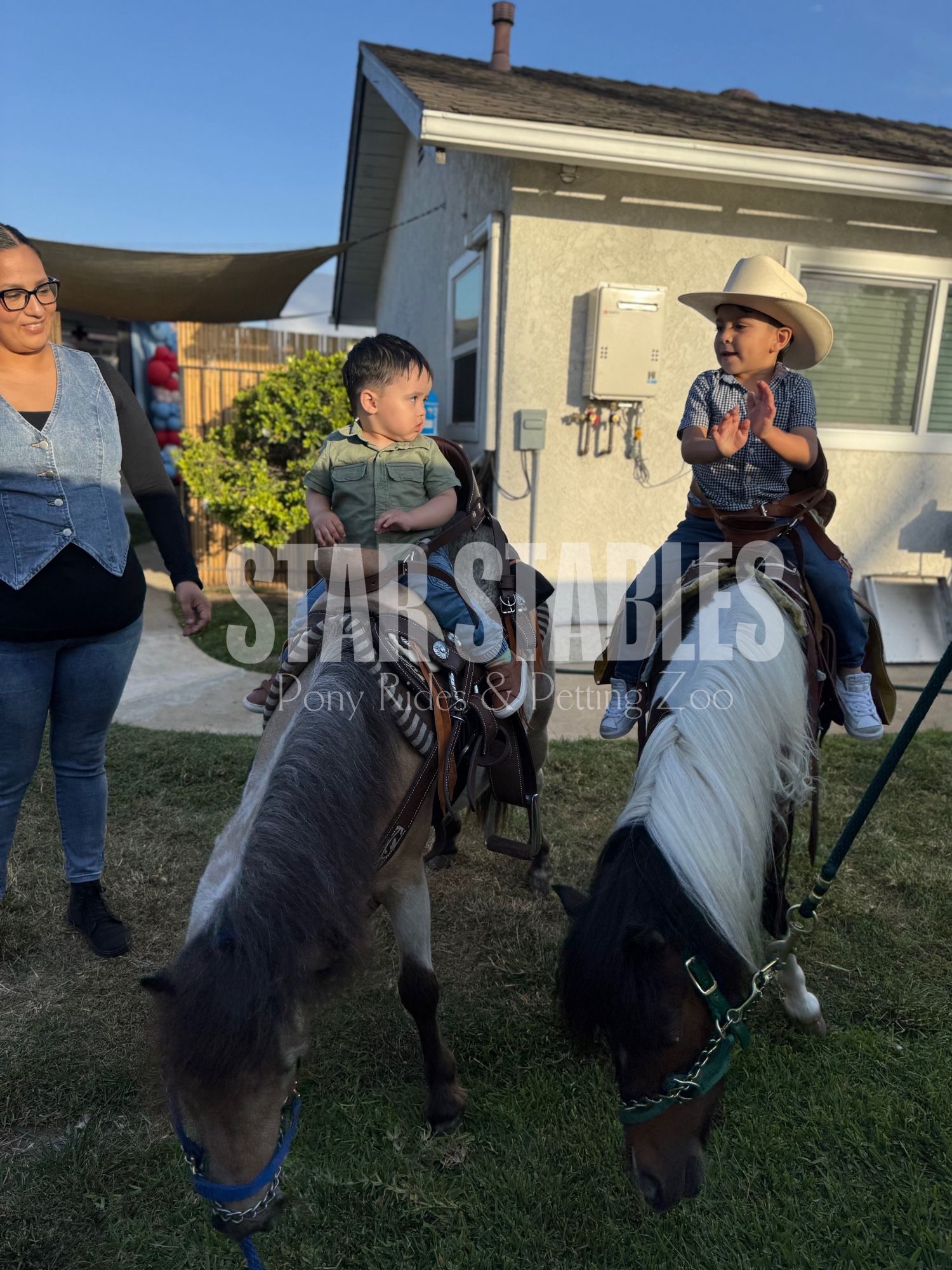 Pony Rides Petting Zoo