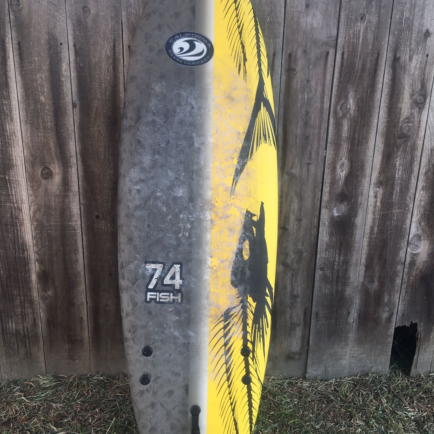 California 74 Fish Surfboard