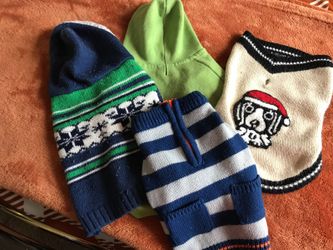 Clothes for dogs