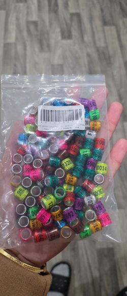 100 pcs pigeon feet rings 2026 / Pigeons / Pigeon / Birds