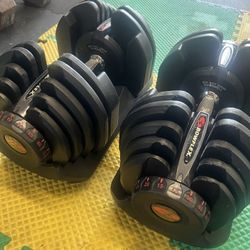 Bowflex 1090’s Select Adjustable Dumbbells 