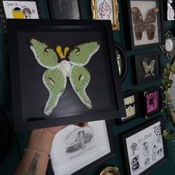 Crochet Luna moth