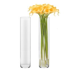 Glass Cylinder Vase