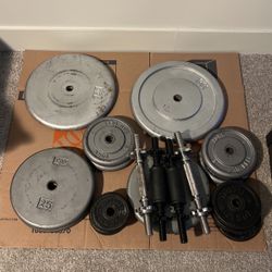 Standard Weights, Handles, Bar