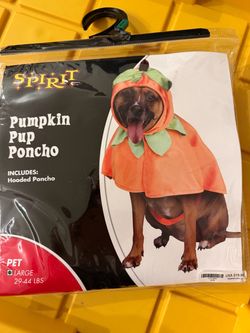 Pumpkin pup poncho