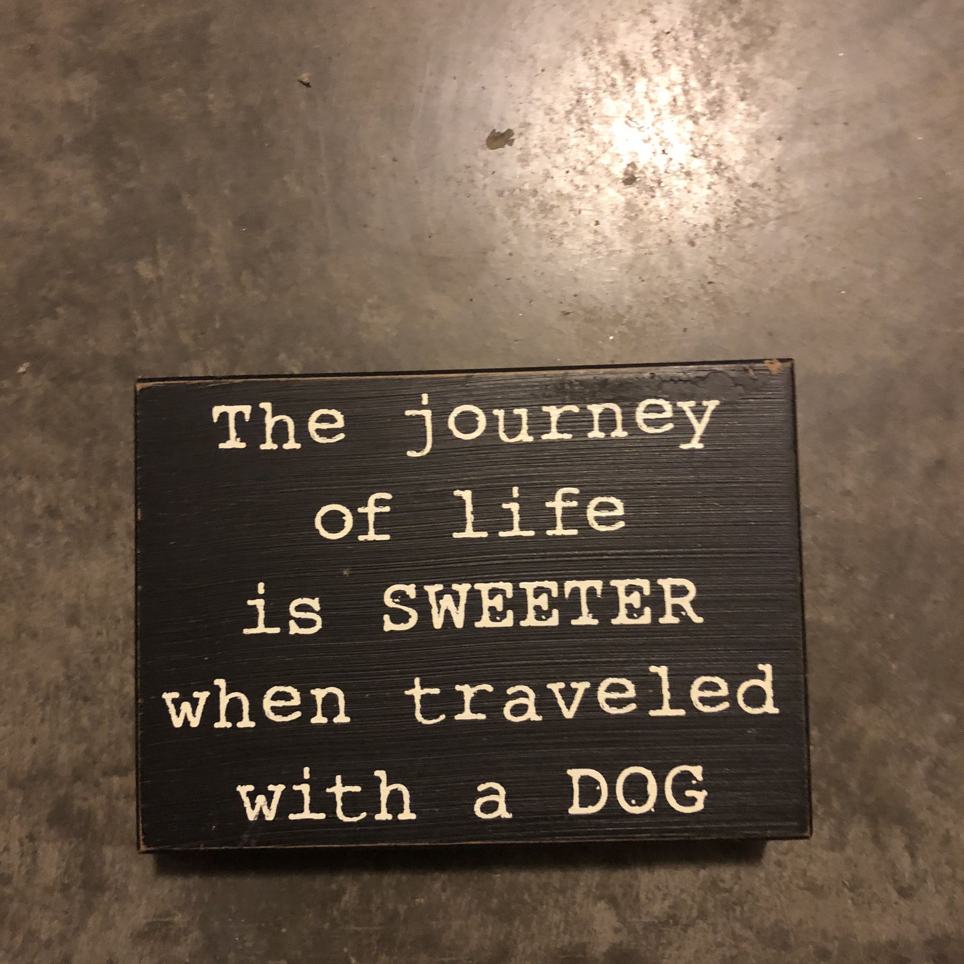 Dog Picture