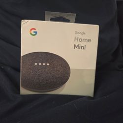 Google Home Mini Smart Speaker