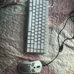 Keyboard and mouse